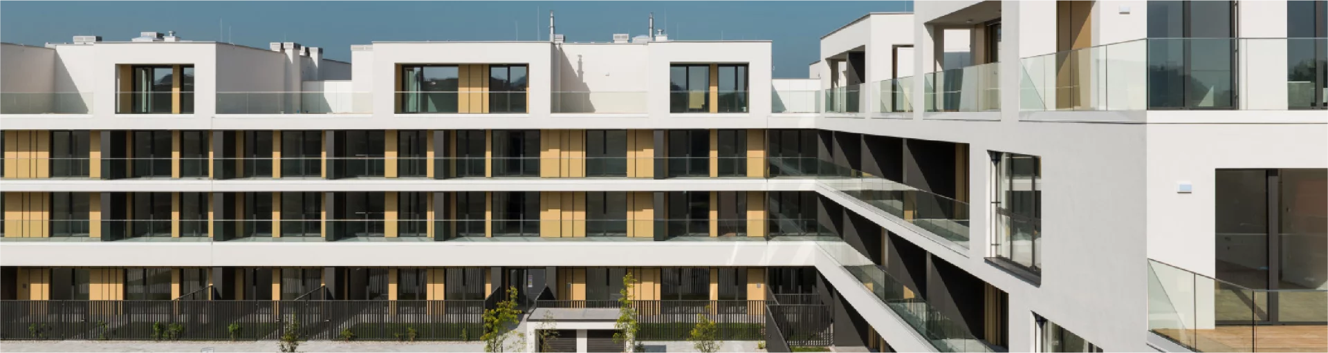Baumit Pro